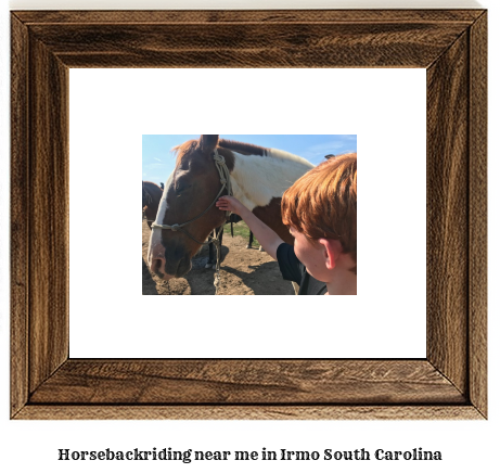 horseback riding near me in Irmo, South Carolina